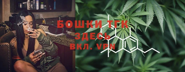 МДПВ Пестово