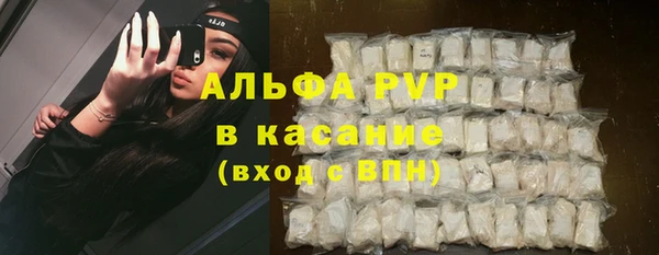 круглые Осинники