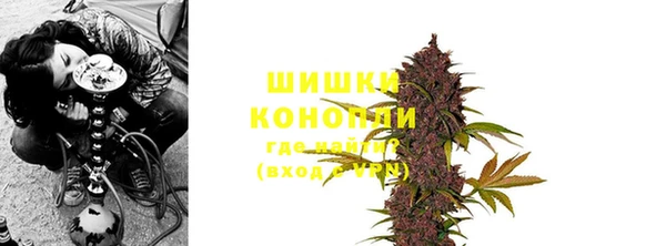 круглые Осинники