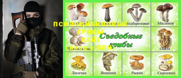 скорость Пересвет