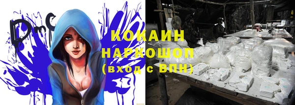винт Переславль-Залесский