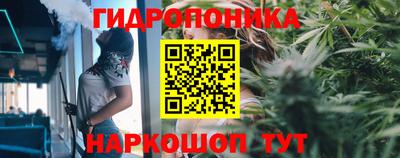 a pvp Балашиха