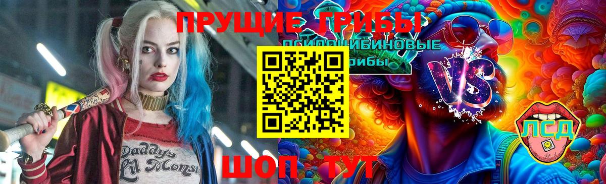 Псилоцибиновые грибы Psilocybine cubensis Саров