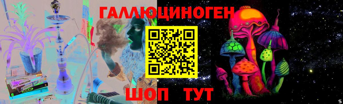 Псилоцибиновые грибы Psilocybe  Саров 